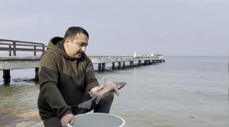 Oltasına nadir görülen 'domuz köpekbalığı' takıldı