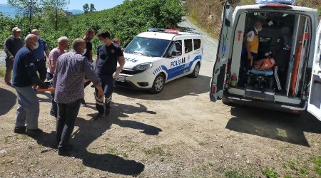 Ordu'da kestiği ağacın altına kalan yaşlı şahıs, 112 ekiplerince kurtarıldı