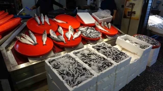 Palamutta umutlar seneye kaldı