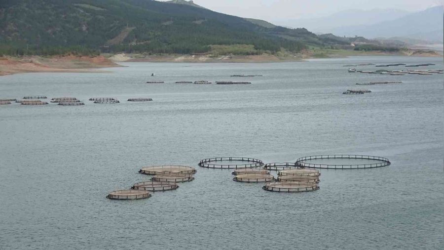 Tokat'tan Rusya'ya somon ihracatı