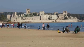 Zehirli sakn dokunmayn: Denizanalar sahilden toplanyor