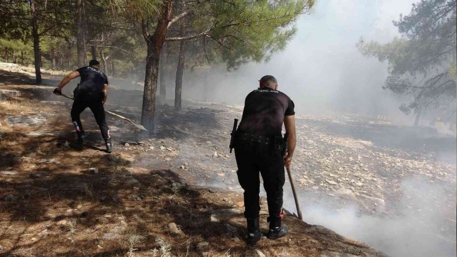 Adıyaman'da orman yangını korkuttu