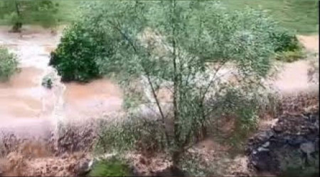 Artvin'de dereler taştı, tarım arazileri zarar gördü