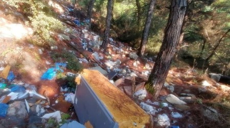 Bursa'da çevre katliamı