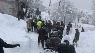Çatak'ta çığın altında kalan kadın yaşamını yitirdi