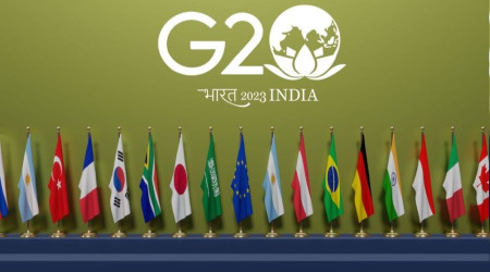 Cumhurbaşkanı Erdoğan, Hindistan'a gitti