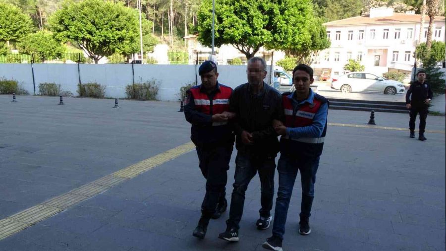 Domuz eti çalan Almanya vatandaşı sahte plakadan yakayı ele verdi