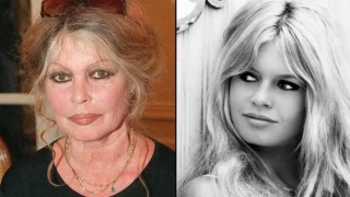 Fransız sinema ikonu Brigitte Bardot 91 yaşında hayatını kaybetti