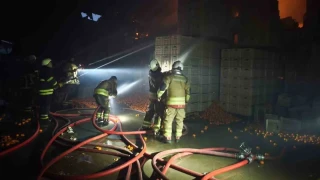 Hatay'daki fabrika yangınında 60 işçi tahliye edildi, 1 işçi öldü
