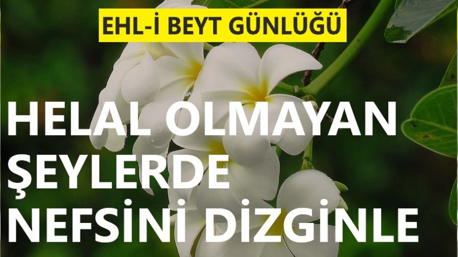 ‘Helal olmayan şeylerde nefsini dizginle’