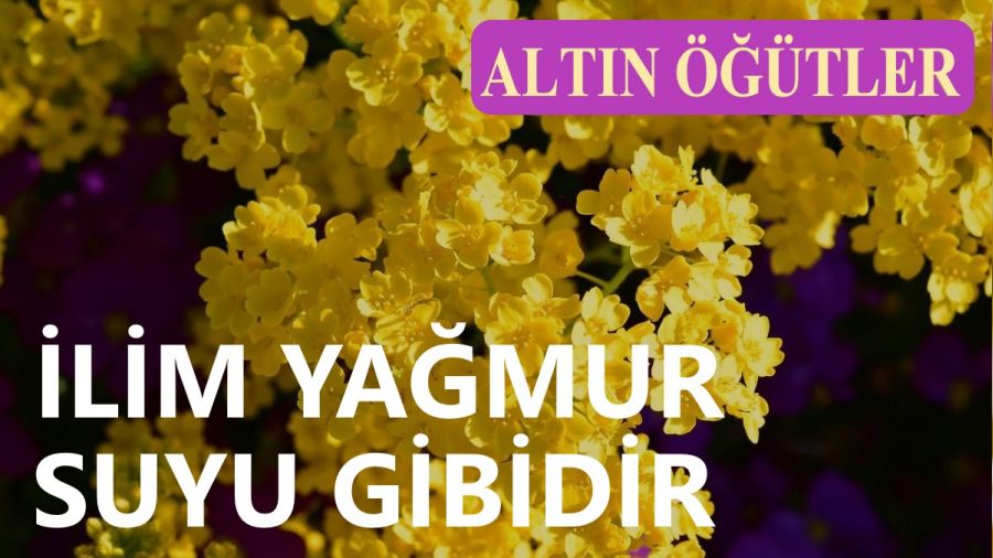 lim yamur suyu gibidir