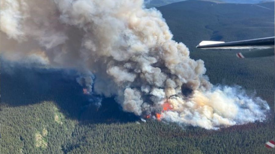 Kanada'da orman yangınları kontrol altına alınamıyor