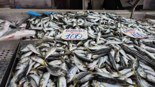 Karadeniz'de hamsi yerini istavrite bıraktı