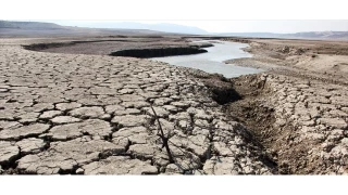 Kuraklık tarımı dört koldan vuruyor