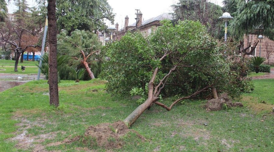 Manisa'ya lodos ve kuvvetli ya uyars