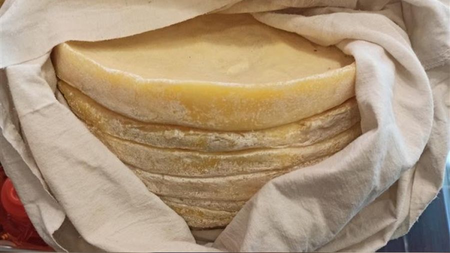 Rize'nin Çayeli Koloti Peyniri coğrafi işaret aldı