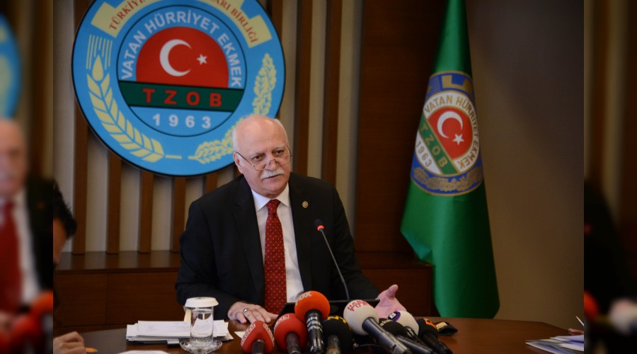 Tarımın yükünü kadınlar sırtlıyor