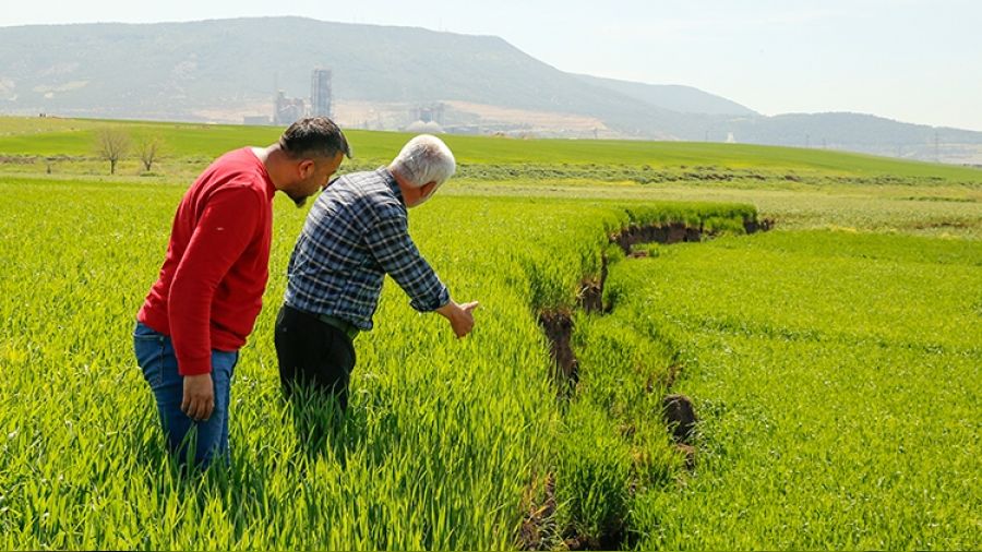 Tarlalardaki kmeler iftileri zorluyor