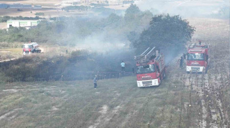 Tekirda'da korkutan orman yangn