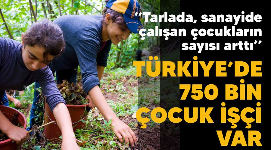Türkiye’de 750 bin çocuk işçi var