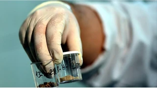 Türkiye'de böbrek taşı yaygın çünkü...