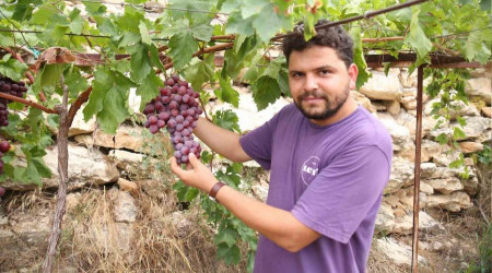 13 ülkeden 450 çeşit üzüm aynı bölgede yetişiyor