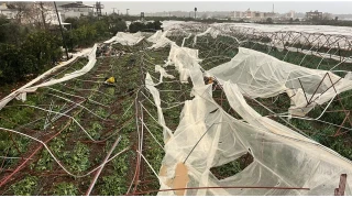 Antalya'da seraları önce sağanak, sonra hortum vurdu