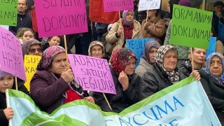 Devrek Çayı üzerinde yapılması planlanan HES projesine tepki