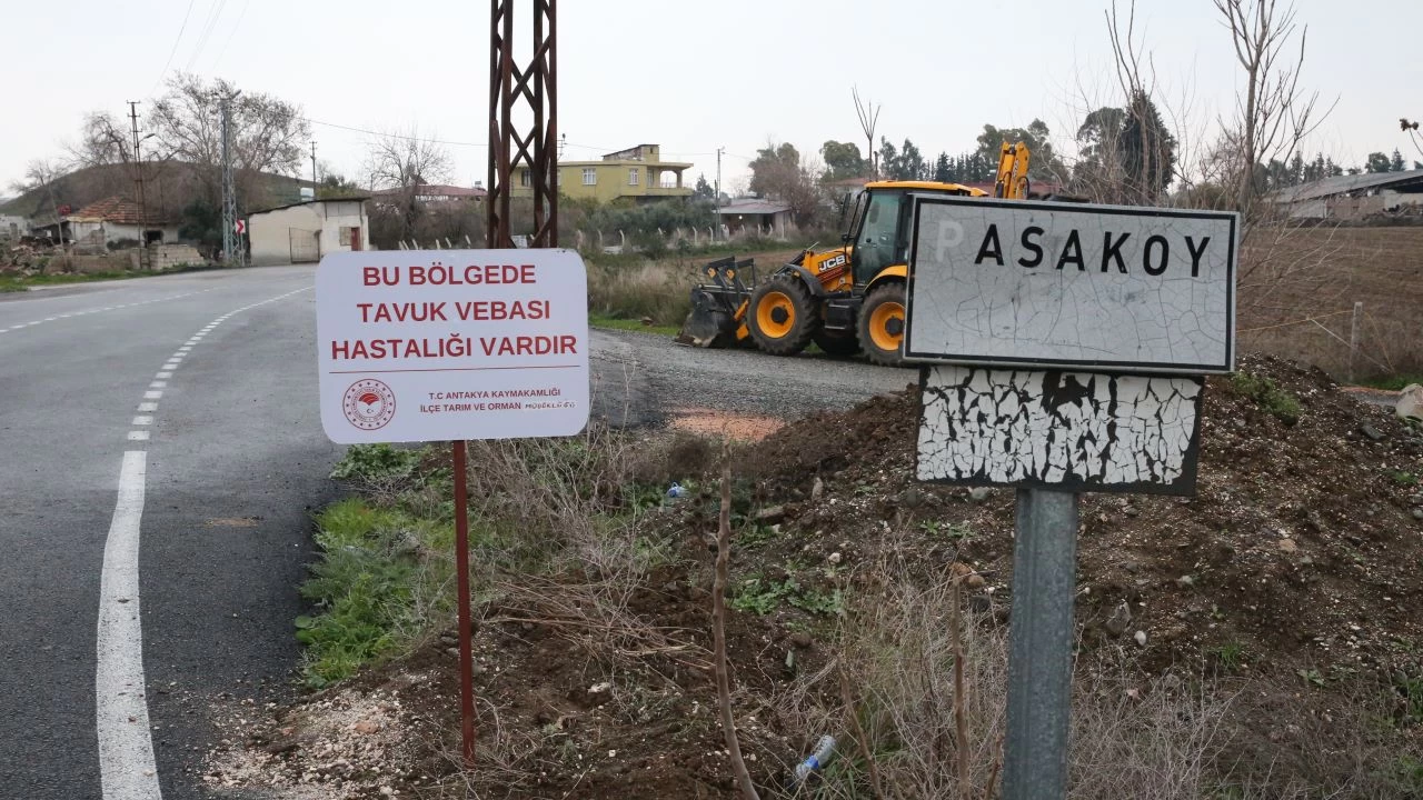 Hatay'da ku gribi grlen mahalle karantinaya alnd