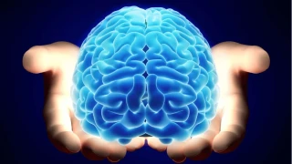 Tırnak Yemek Beynin Savunma Mekanizması