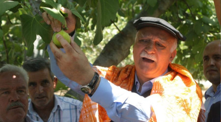 TZOB Başkanı Aydın'da incir hasadına katıldı