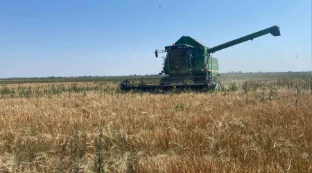 Adabağ'da yılın ilk organik tarım hasadı başladı