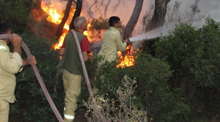 Foça'daki yangının etrafı çevrildi