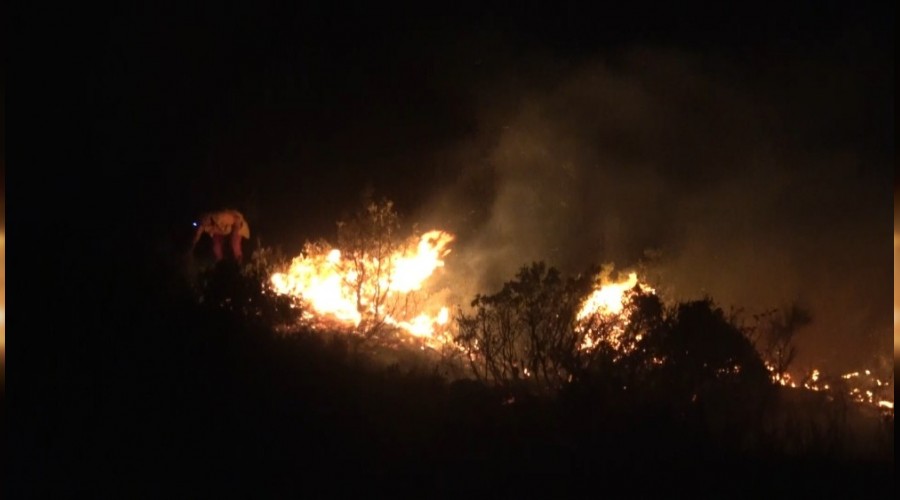 Hatay'da orman yangını