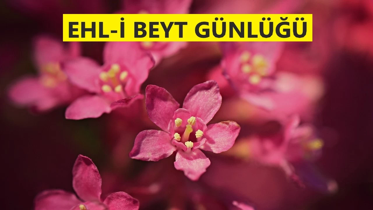 Hz. Ali hem gvenilir hem de glyd