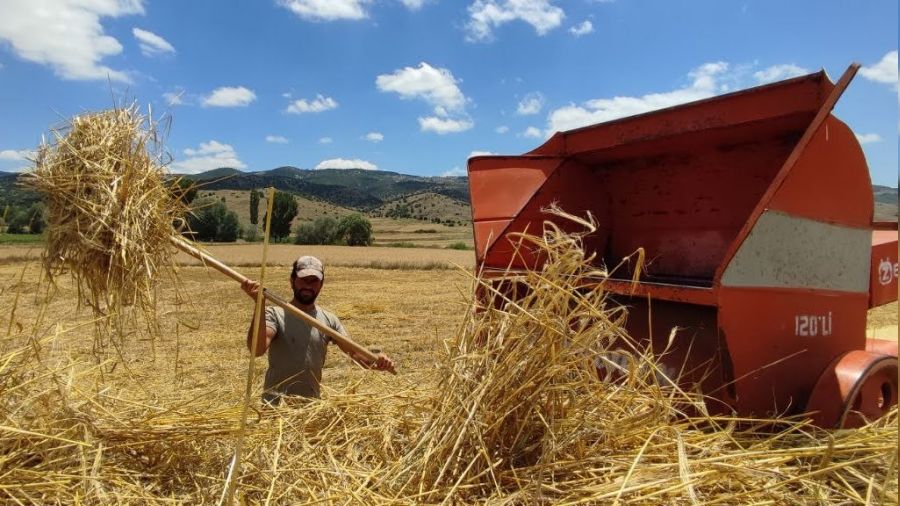 Kışlık yem hazırlıkları hızlandı