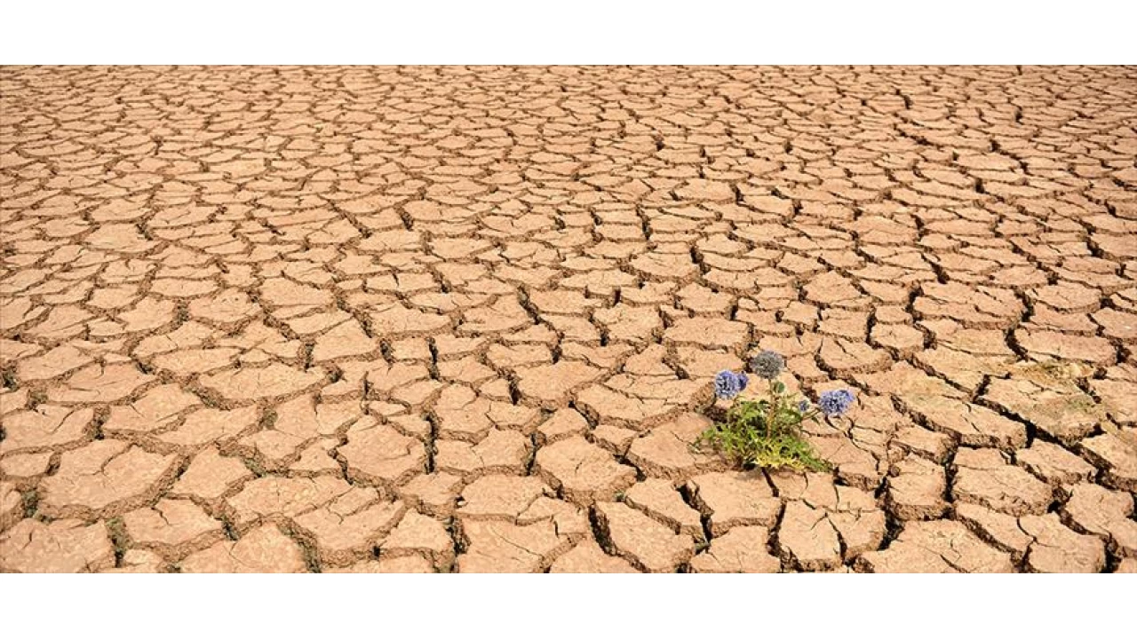 Küresel ısınma tam gaz