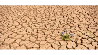 Küresel ısınma tam gaz