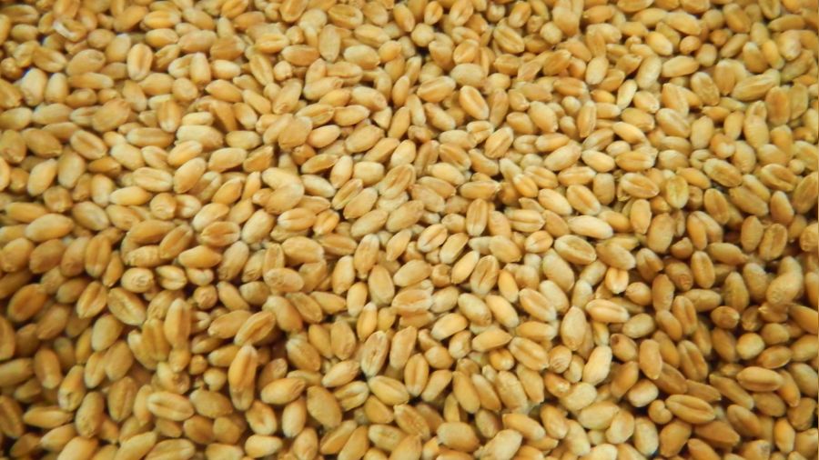 Sıvı yağdan sonra buğday hırsızlığını da gördük