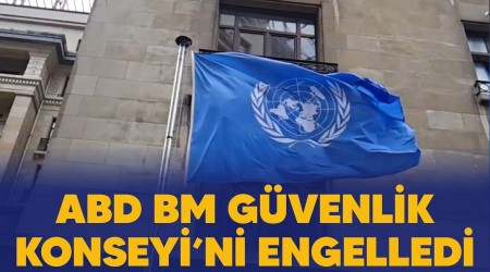 ABD, BM Güvenlik Konseyi'ni engelledi