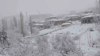 Adana'nın yüksek kesimlerinde kar yağışı başladı