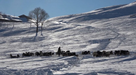 Besicilerin zorlu kış mesaisi başladı