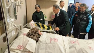 Bingöl'de 'Mihrişah', Adıyaman'da 'Rüya'