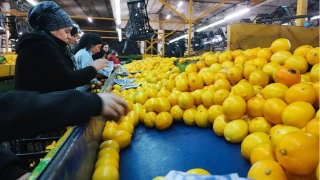 Grip vakaları artıyor; C vitaminini yanlış besinde aramayın