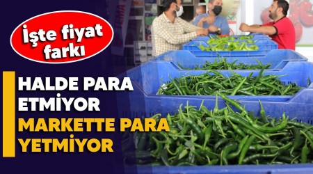 Halde para etmiyor markette para yetmiyor