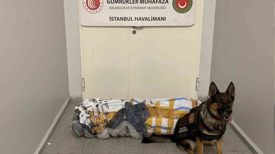 İstanbul Havalimanı'nda halıya emdirilmiş 17 kilo uyuşturucu ele geçirildi