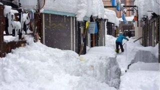 Japonya'daki kar fırtınasında ölü sayısı 46'ya yükseldi