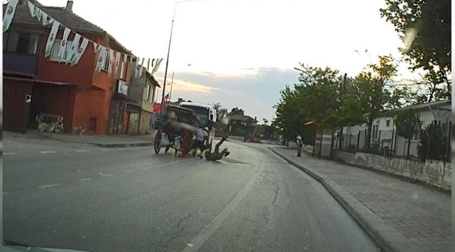 Kırkpınar Şampiyonunun fayton kazası kamerada