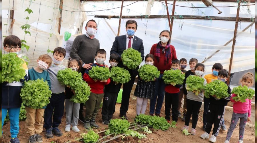 Minikler serada organik sebze yetiştiriyor