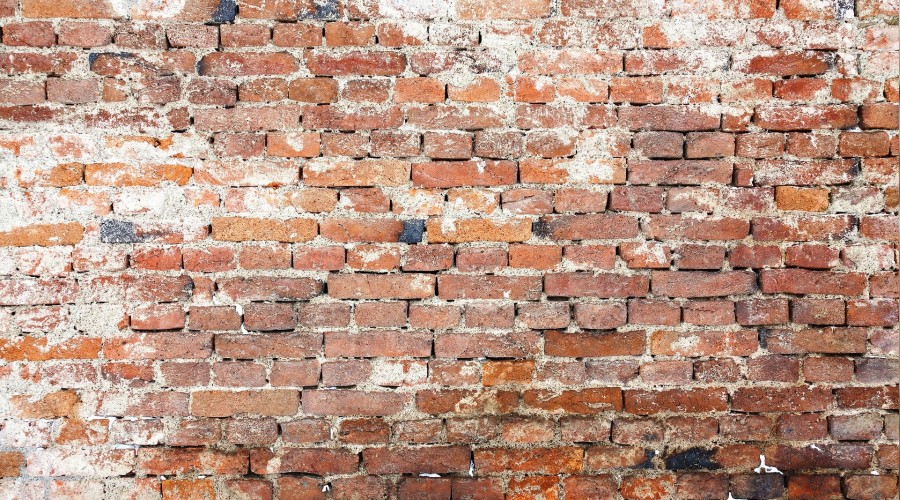 ‘Sakın korkakla istişare etme!’